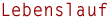 Lebenslauf